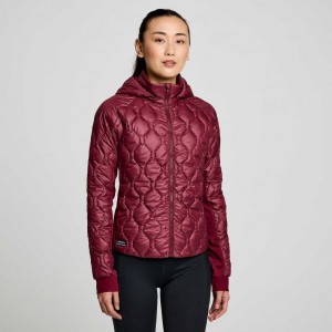 Chaqueta Saucony Solstice Oysterpuff Mujer Burdeos | COLOMBIA-KEZT