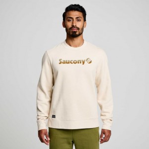 Sudadera Saucony Recovery Crew Hombre Creme | COLOMBIA-PCXJ