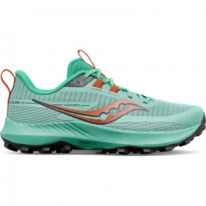 Tenis Trail Running Saucony Peregrine 13 Mujer Turquesa | COLOMBIA-IXQT