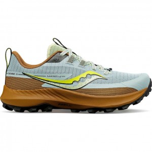 Tenis Trail Running Saucony Peregrine 13 Mujer Azules Claro Marrones | COLOMBIA-WIGO