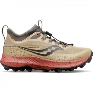 Tenis Trail Running Saucony Peregrine 13 ST Mujer Marrones | COLOMBIA-HEUO