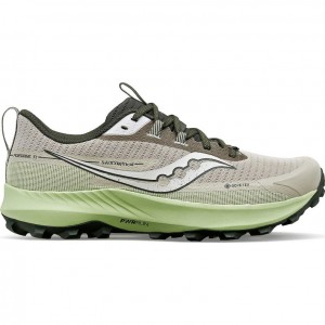 Tenis para Correr Saucony Peregrine 13 GTX Hombre Gris Verde Menta | COLOMBIA-RIGB